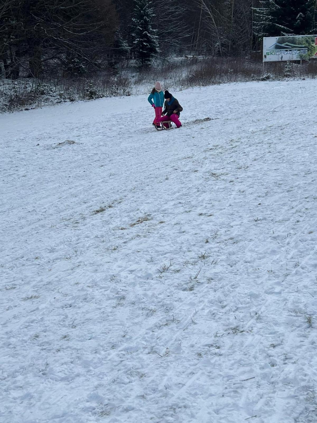 Pensiunea Mountain King Sîmbăta de Sus Zewnętrze zdjęcie