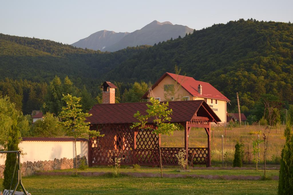 Pensiunea Mountain King Sîmbăta de Sus Zewnętrze zdjęcie