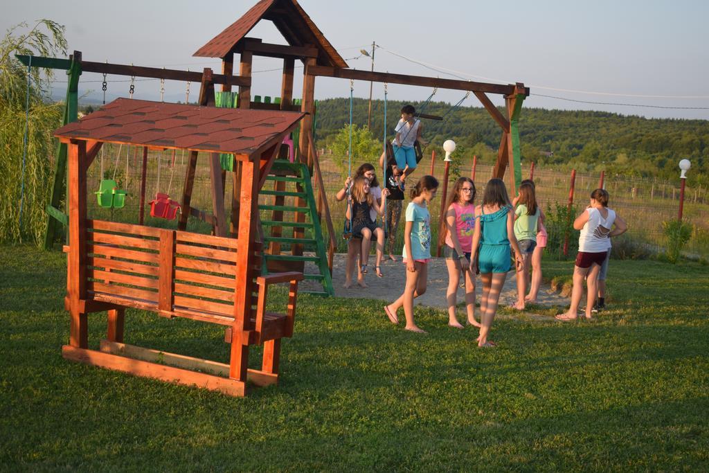 Pensiunea Mountain King Sîmbăta de Sus Zewnętrze zdjęcie