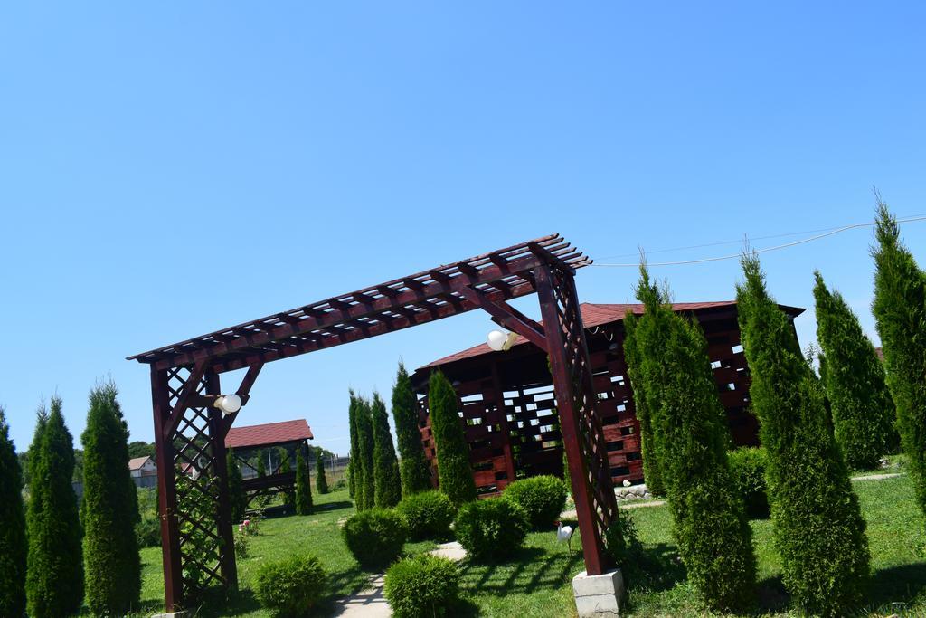 Pensiunea Mountain King Sîmbăta de Sus Zewnętrze zdjęcie
