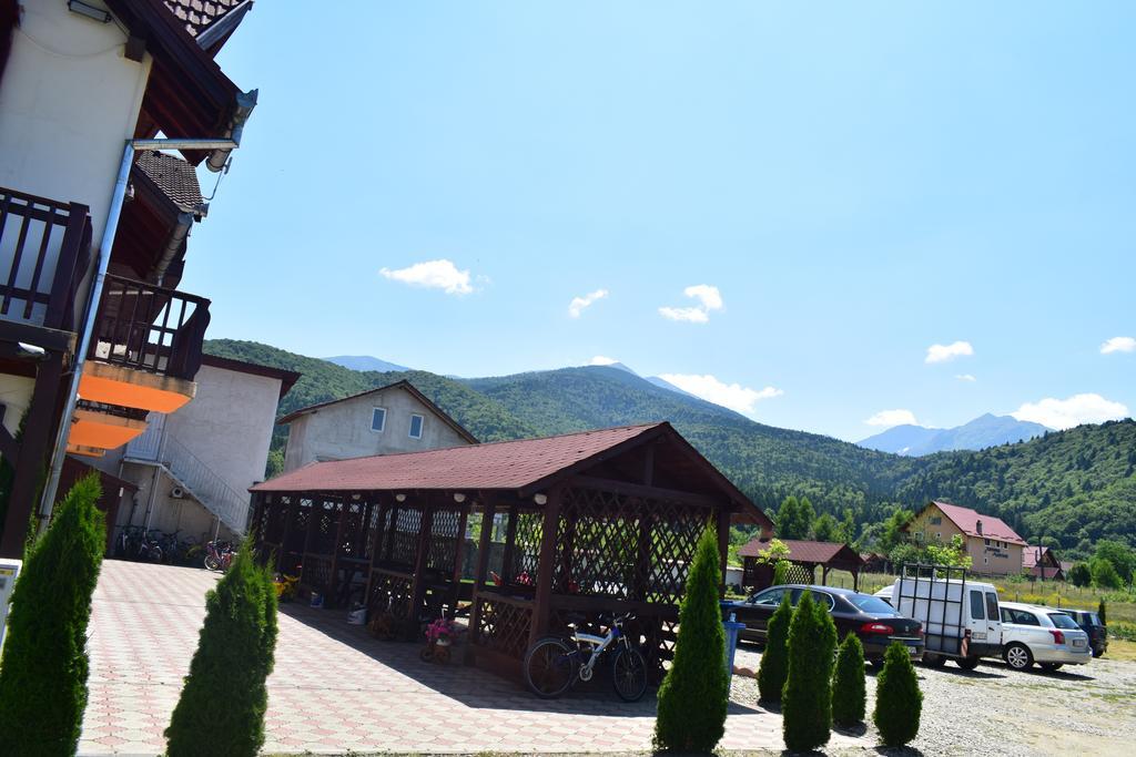 Pensiunea Mountain King Sîmbăta de Sus Zewnętrze zdjęcie