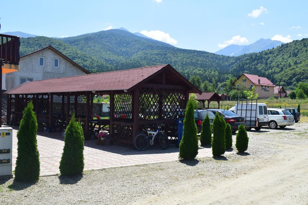 Pensiunea Mountain King Sîmbăta de Sus Zewnętrze zdjęcie