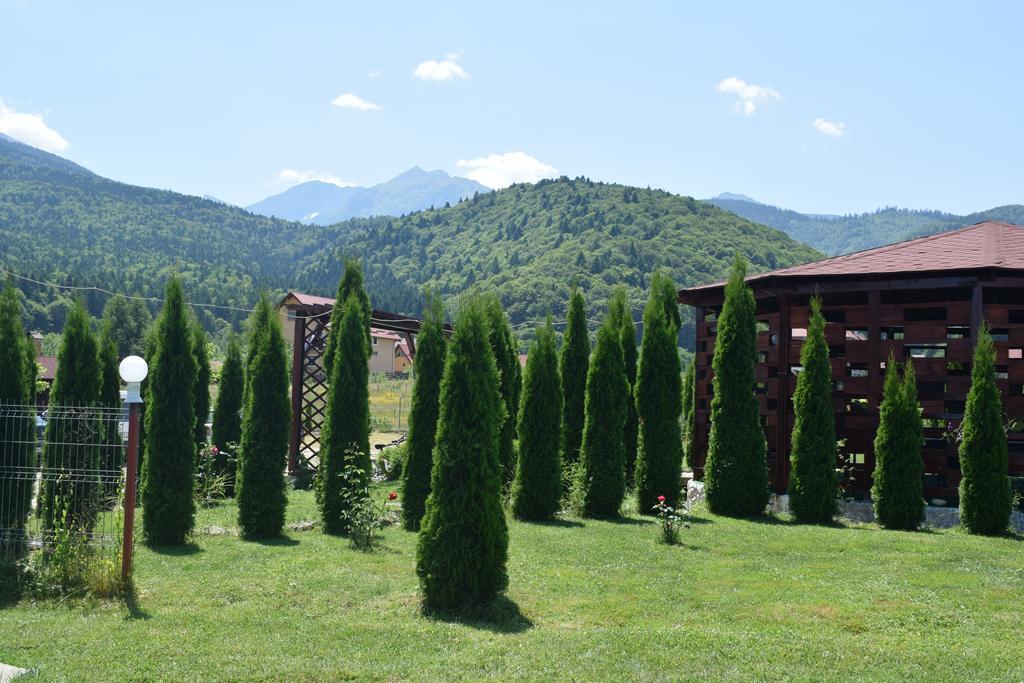 Pensiunea Mountain King Sîmbăta de Sus Zewnętrze zdjęcie