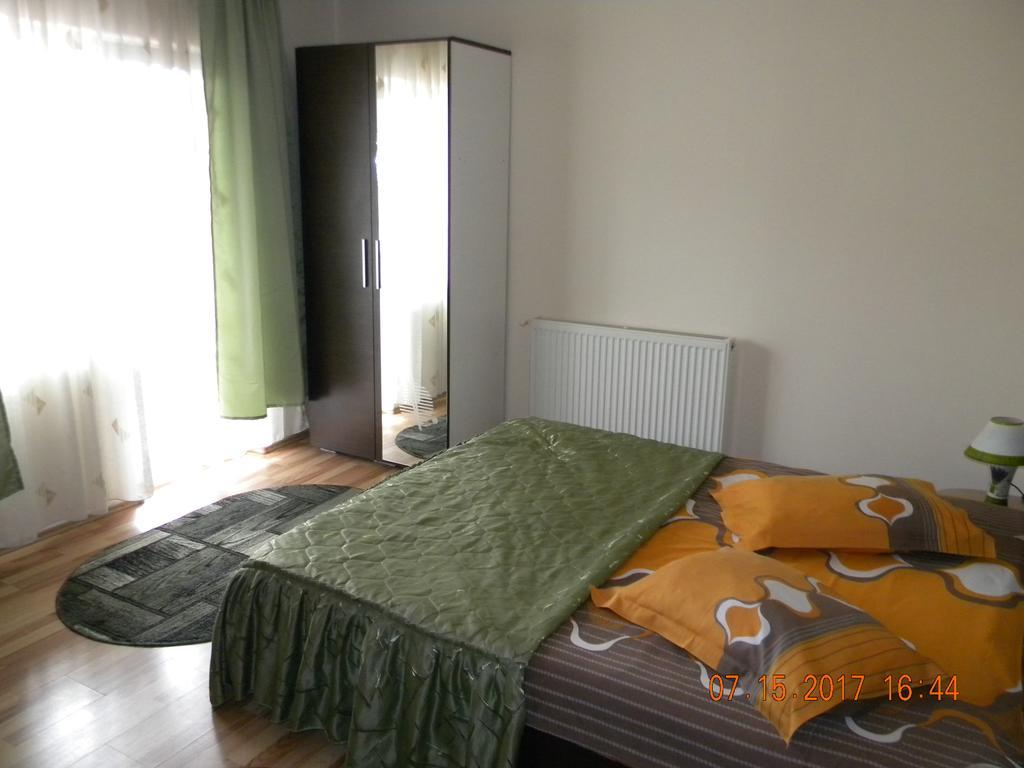 Pensiunea Mountain King Sîmbăta de Sus Zewnętrze zdjęcie