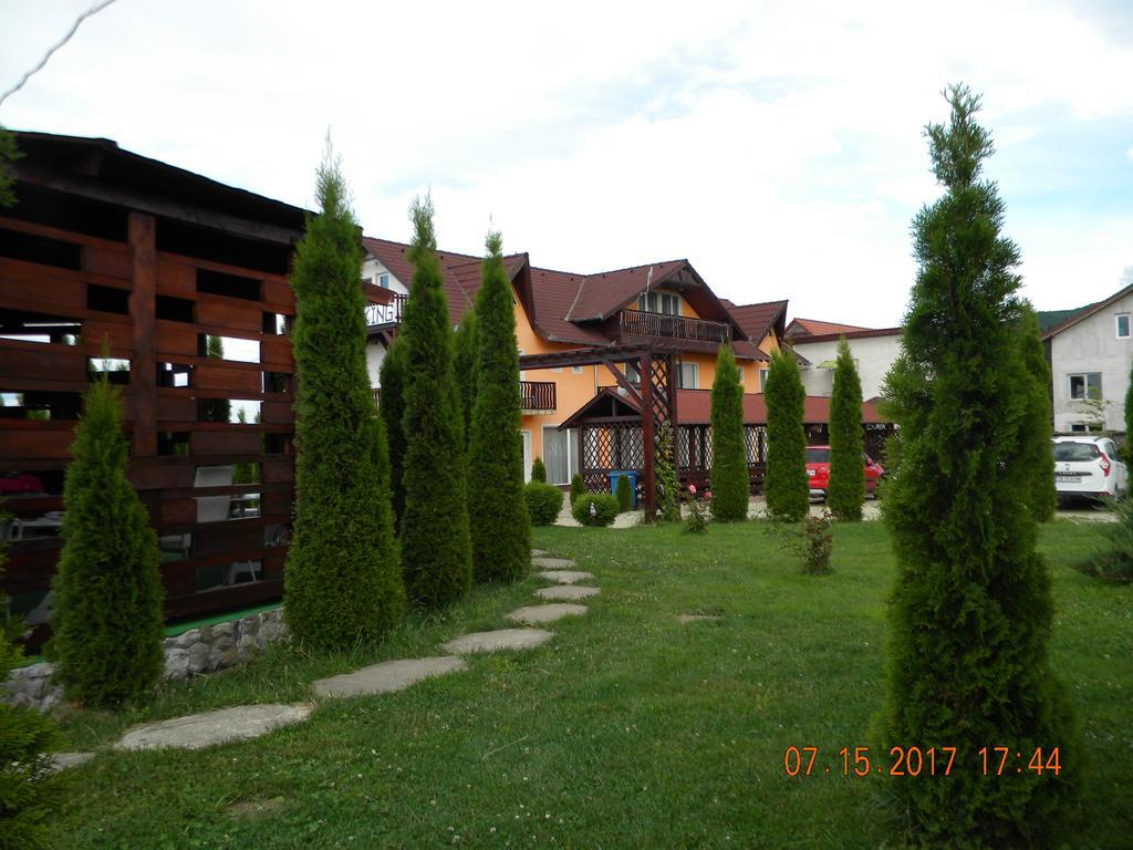 Pensiunea Mountain King Sîmbăta de Sus Zewnętrze zdjęcie