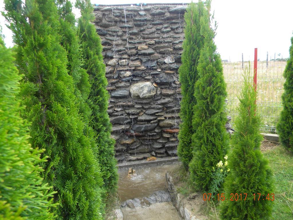 Pensiunea Mountain King Sîmbăta de Sus Zewnętrze zdjęcie