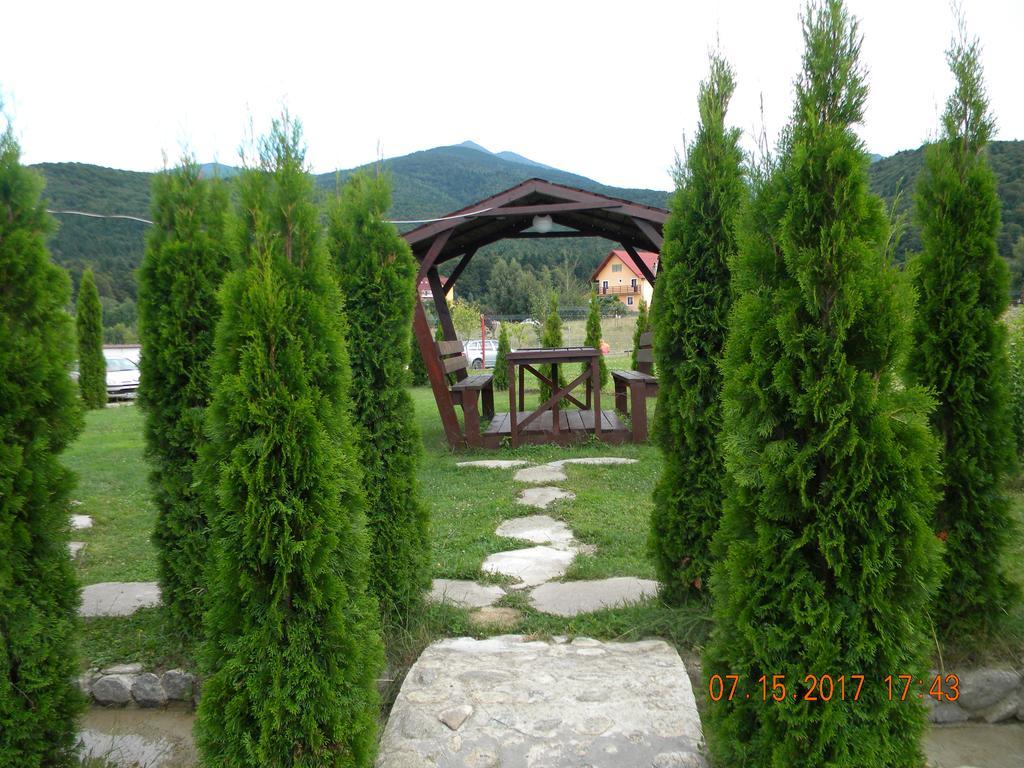 Pensiunea Mountain King Sîmbăta de Sus Zewnętrze zdjęcie