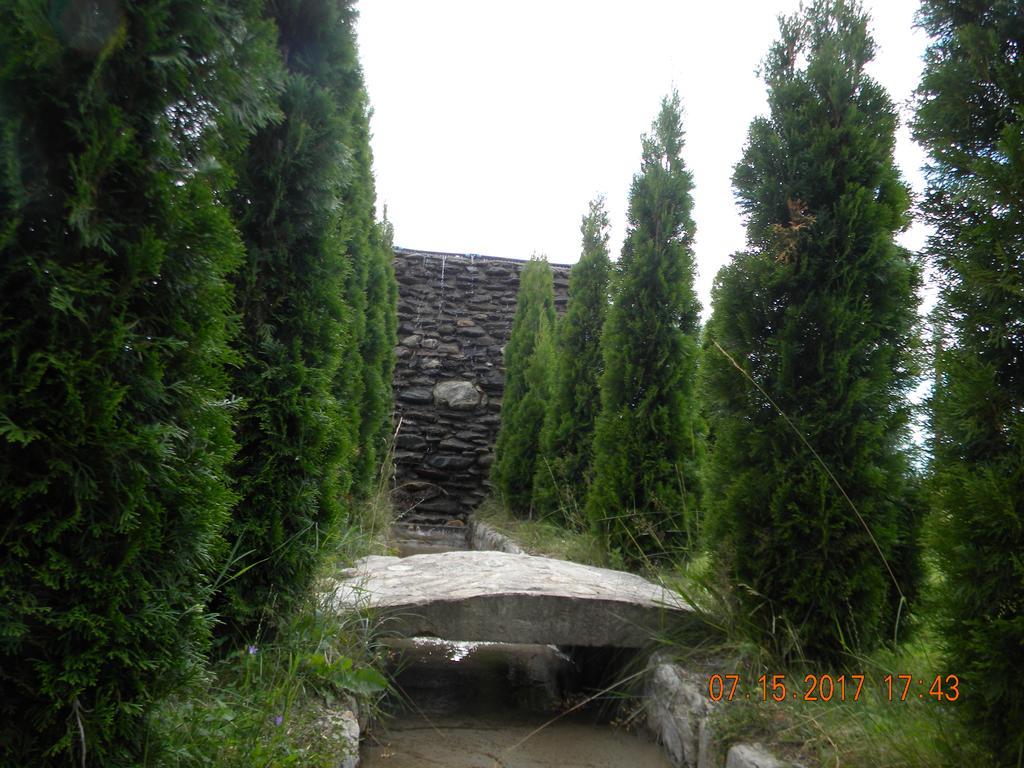 Pensiunea Mountain King Sîmbăta de Sus Zewnętrze zdjęcie