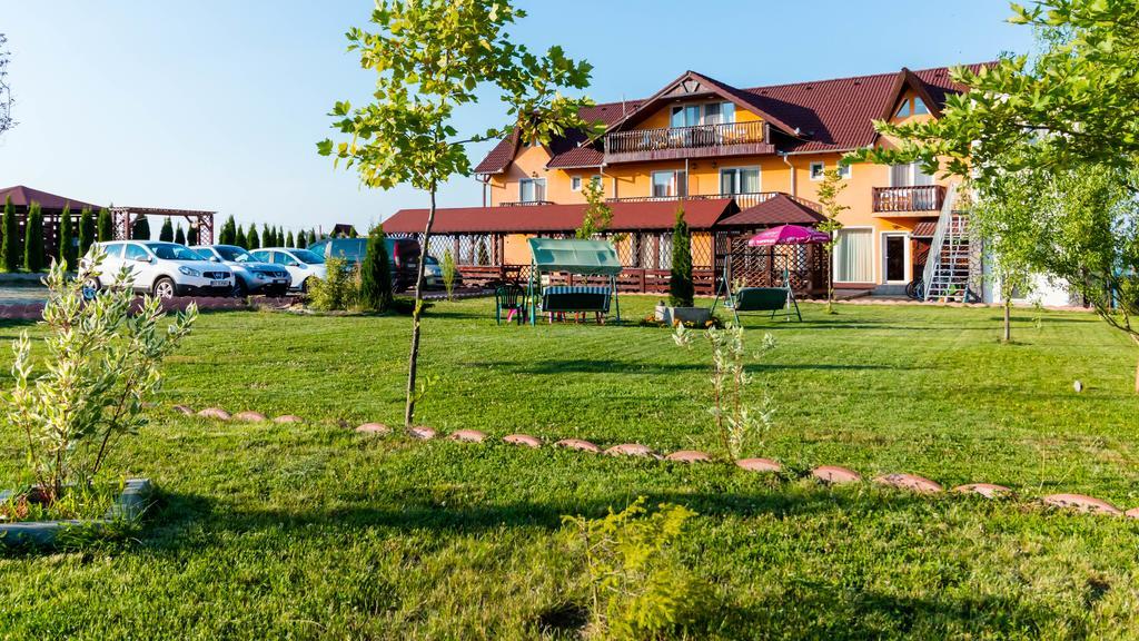 Pensiunea Mountain King Sîmbăta de Sus Zewnętrze zdjęcie